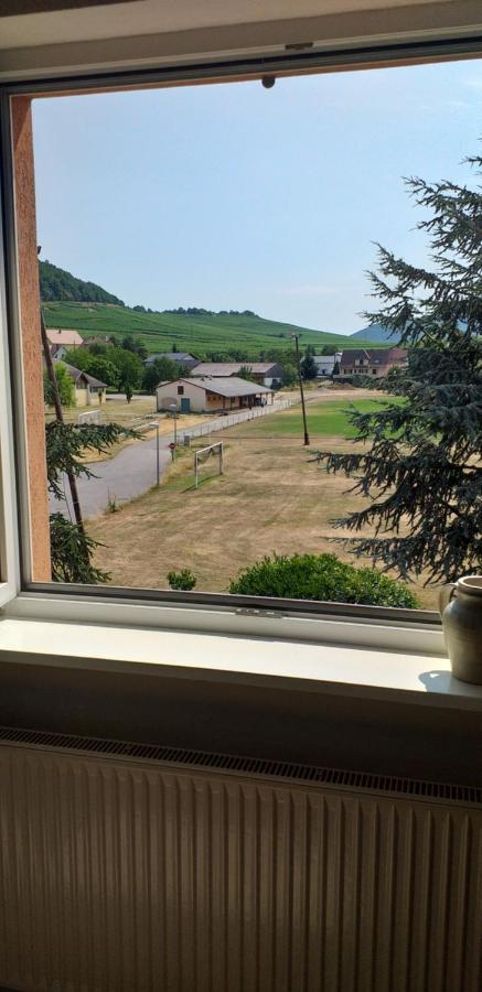 Dans Vignoble Alsacien