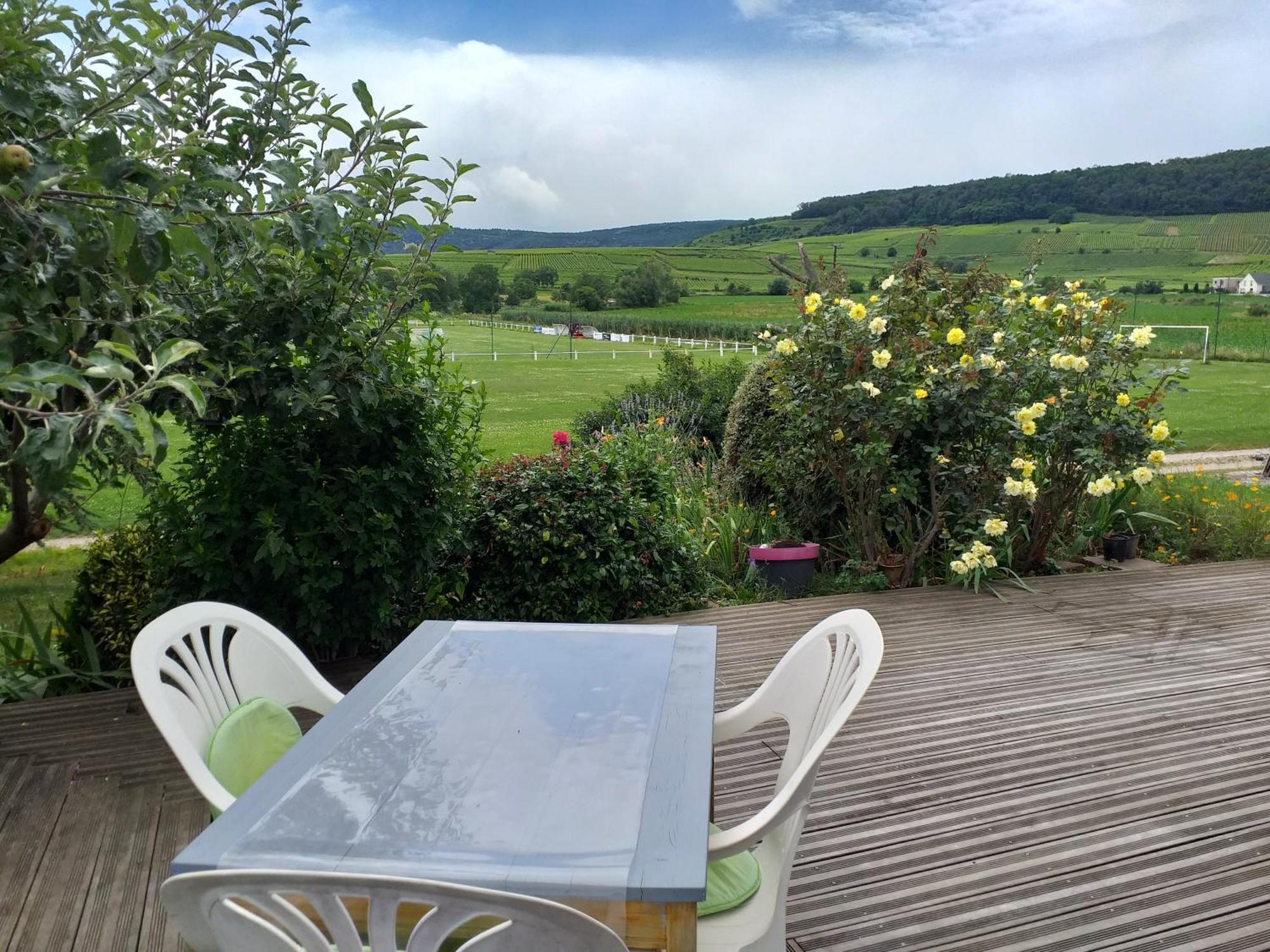 Apartment Dans Vignoble Alsacien
