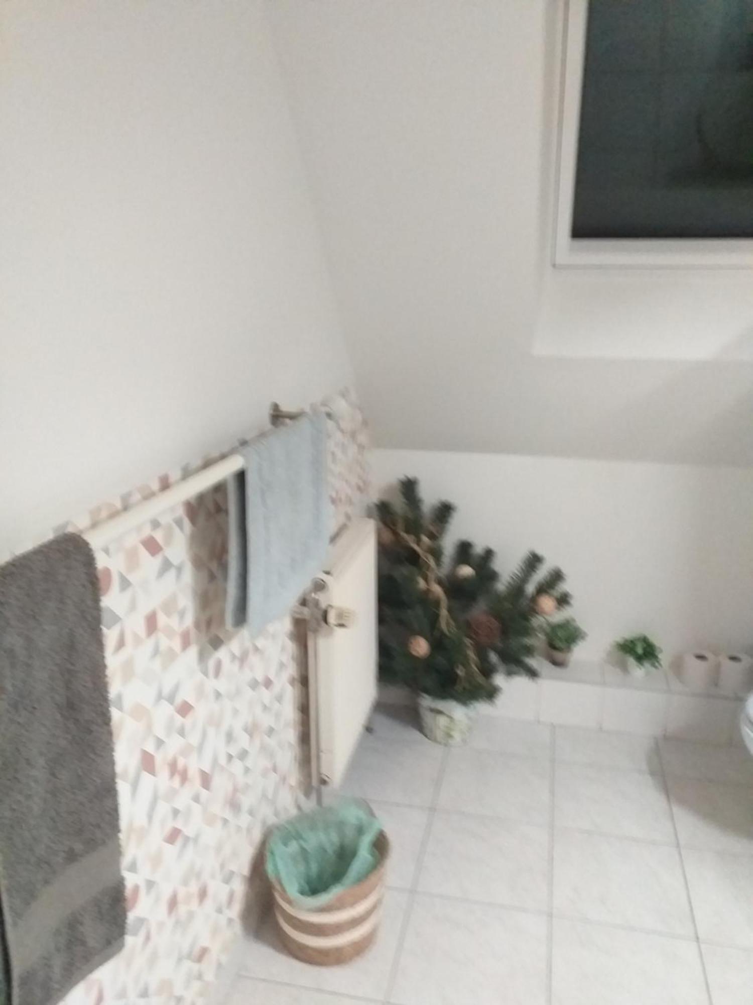 Dans Vignoble Alsacien Apartment Westhalten